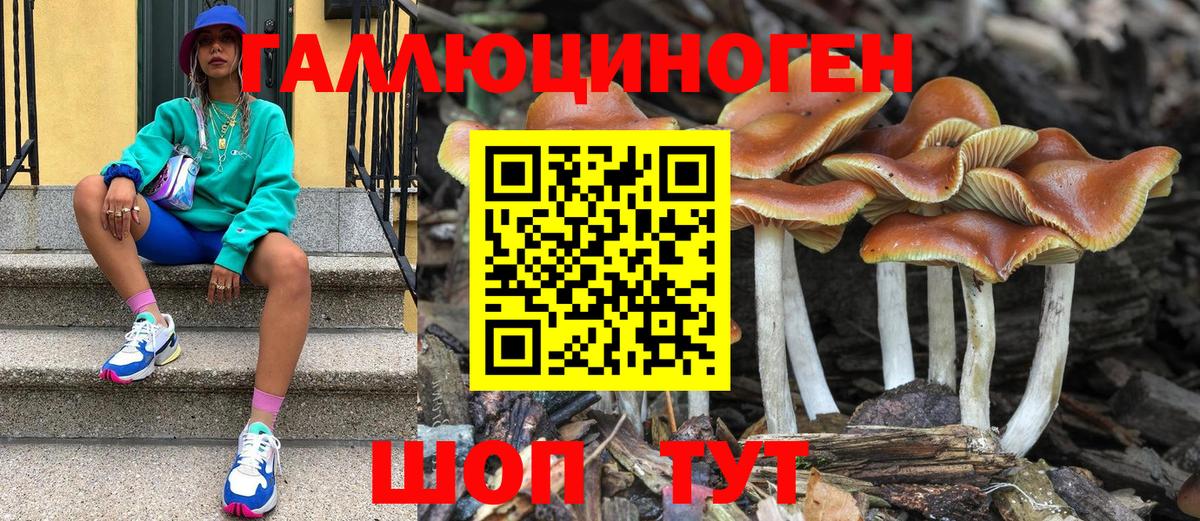 Галлюциногенные грибы мицелий  Псилоцибиновые грибы мухоморы  Якутск  Вход с VPN 
